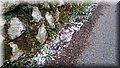 2017-11-29_20-03-24.jpg