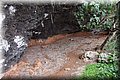 PB135541.JPG