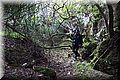 PB135547.JPG
