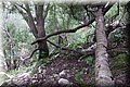 PB135586.JPG