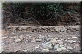 PB135597.JPG