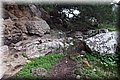 PB135602.JPG