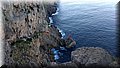 IMG_115708697.jpg