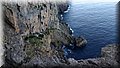 IMG_115849118.jpg