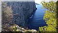 IMG_123114855.jpg