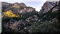 IMG_20171116.jpg