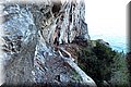 PB165655.JPG
