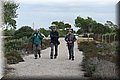 IMG_3283.JPG