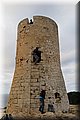 IMG_3308.JPG