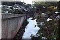 PC075782.JPG
