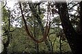 PC075795.JPG