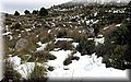 PC075808.JPG