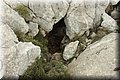 PC215836.JPG