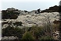 PC215860.JPG