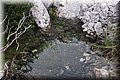 PC215864.JPG