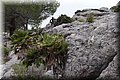 PC215865.JPG