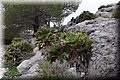 PC215866.JPG