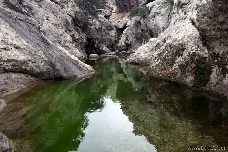 P1025970.JPG