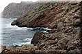 P1025884.JPG