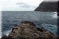 P1025906.JPG