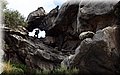 P1025924.JPG
