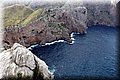 P1025929.JPG