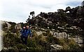 P1025930.JPG
