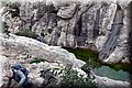 P1025974.JPG