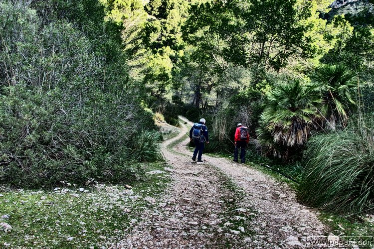 P1116016.JPG