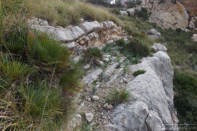 P1116019.JPG