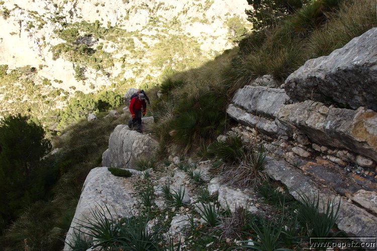 P1116020.JPG