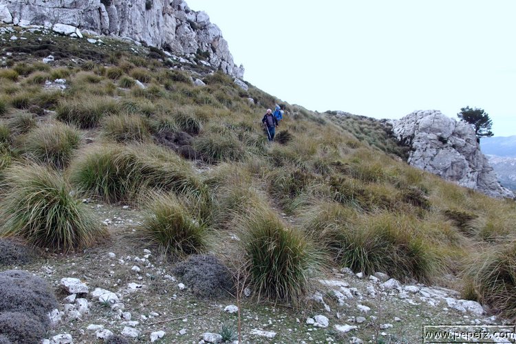 P1116034.JPG