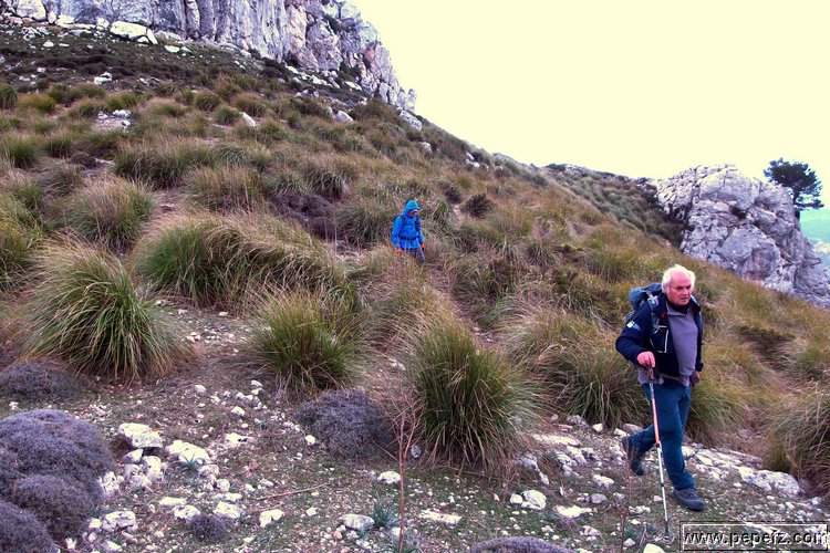 P1116036.JPG