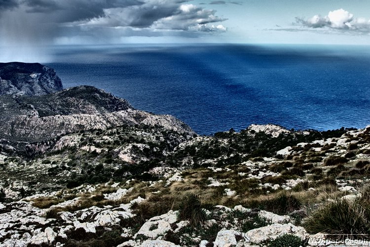 P1116039.JPG