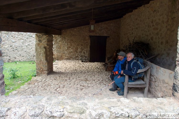 P1116047.JPG
