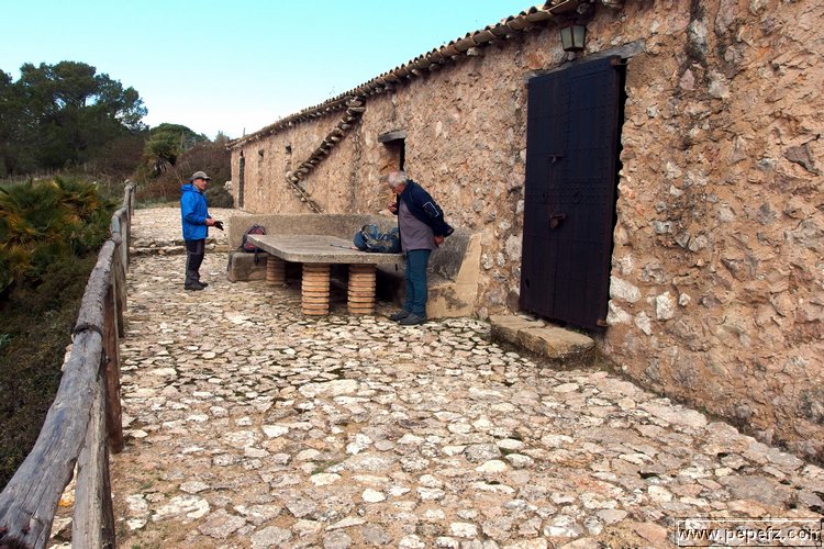 P1116058.JPG