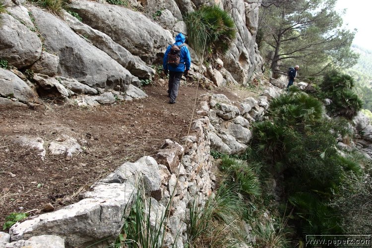 P1116074.JPG