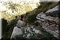 P1116020.JPG