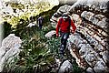 P1116023.JPG