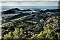 P1116025.JPG