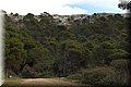 P1116050.JPG
