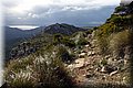 P1116063.JPG