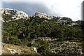 P1116066.JPG