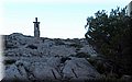 P1166079.JPG