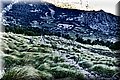 P1166092.JPG