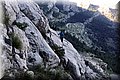 P1166103.JPG
