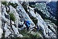 P1166106.JPG