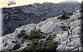 P1166111.JPG