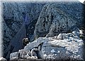 P1166116.JPG