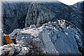 P1166118.JPG